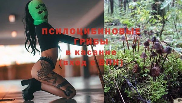 бутират Козловка