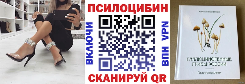 Купить закладки  Костомукша  Галлюциногенные грибы Cubensis 